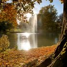 Herbstimpressionen Kurpark Bad Homburg