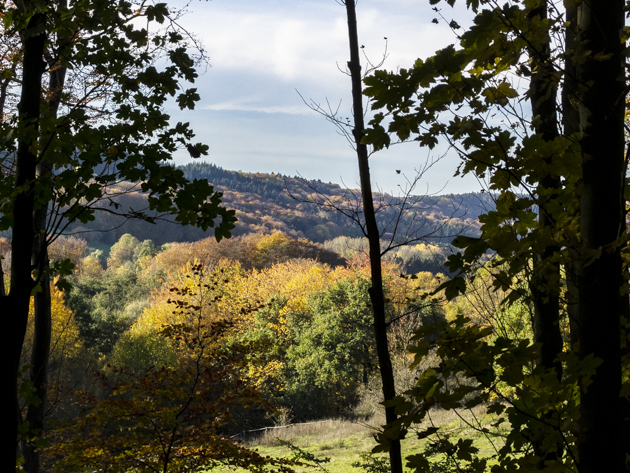 herbstimpressionen kurpark tecklenburg