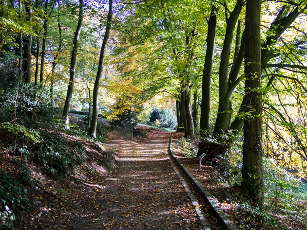 herbstimpressionen kurpark tecklenburg