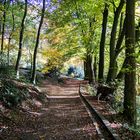 herbstimpressionen kurpark tecklenburg