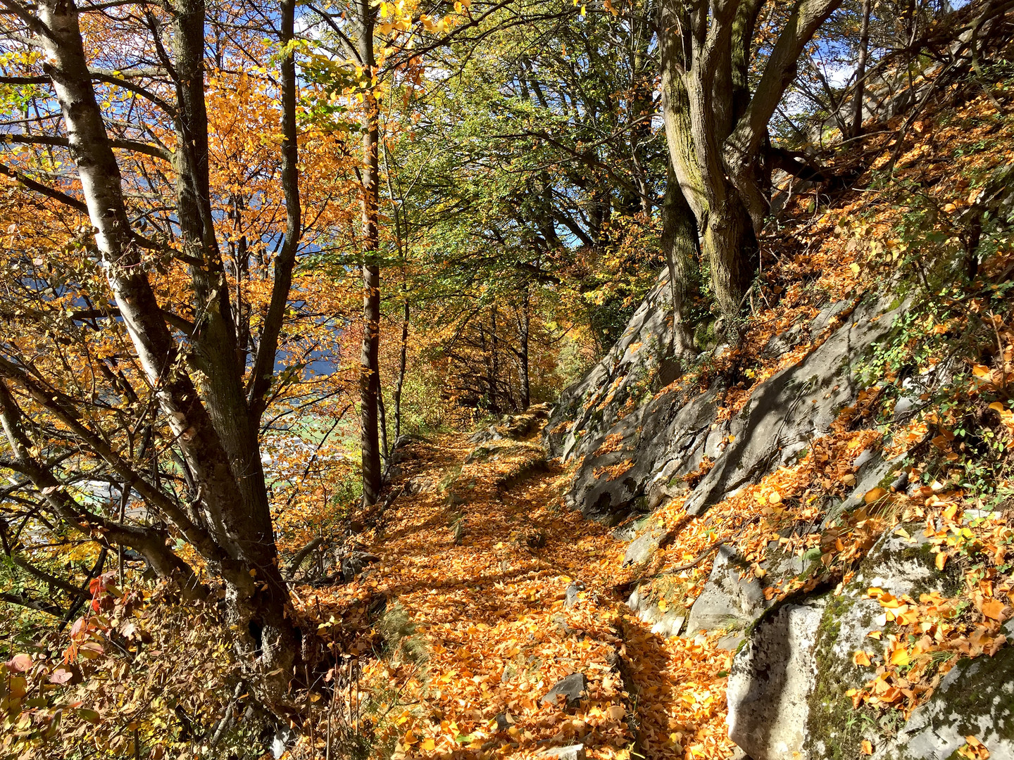 Herbstimpressionen! - L'automne est arrivé!