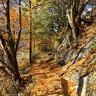 Herbstimpressionen! - L'automne est arrivé!