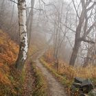 Herbstimpressionen! - L'automne nous invite à rêver!