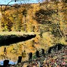 Herbstimpressionen - Liethwald an der Böhme