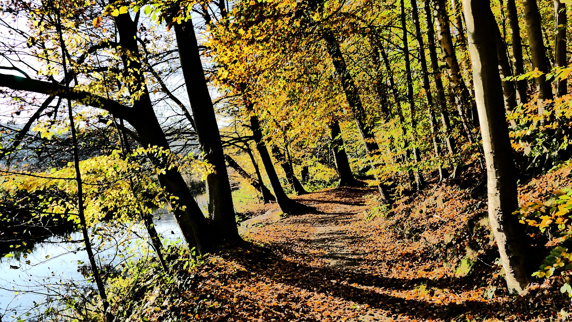 Herbstimpressionen - Liethwald an der Böhme