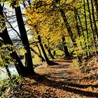 Herbstimpressionen - Liethwald an der Böhme