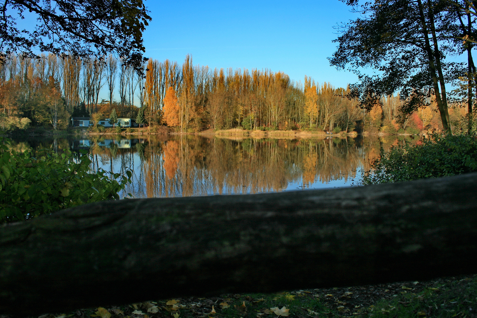 Herbstimpressionen Menzel See