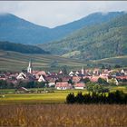 Herbstimpressionen nahe Ribeauvillé