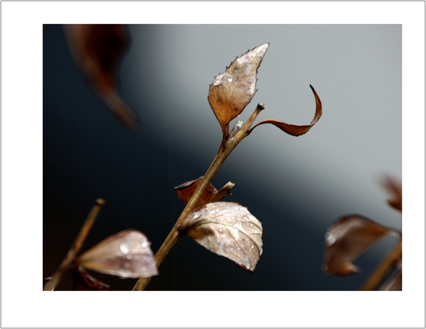 Herbstimpressionen oder Depressionen?