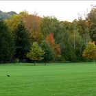 Herbstimpressionen - Pillnitzer Park