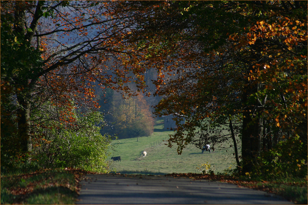 Herbstimpressionen Schwäbische Alb