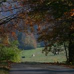 Herbstimpressionen Schwäbische Alb