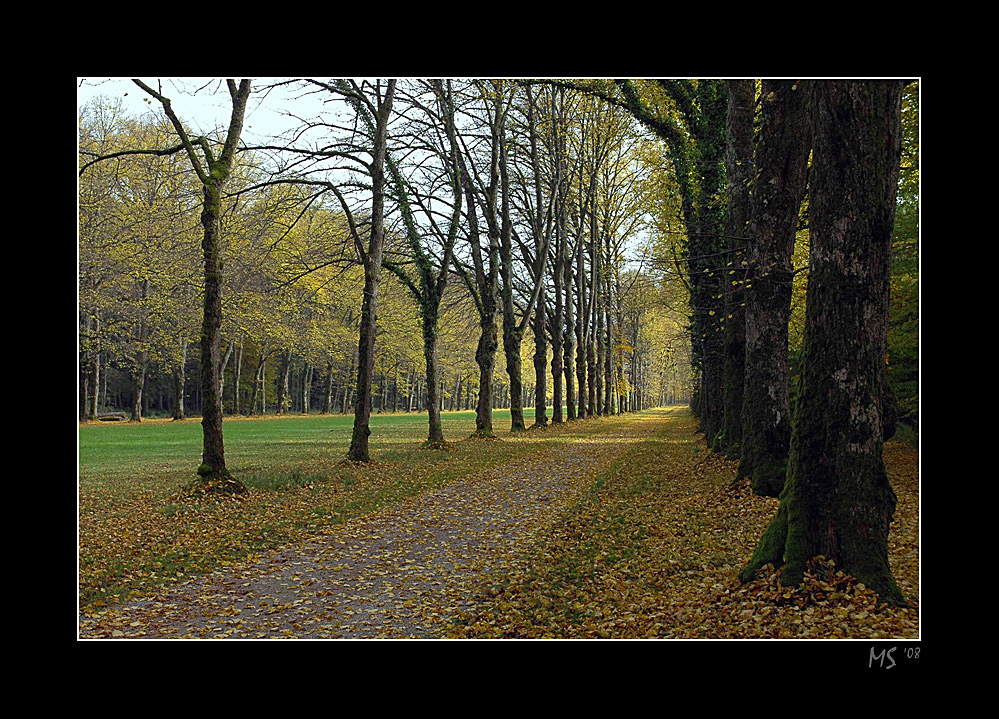 herbstimpressionen V