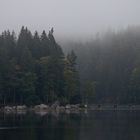 Herbstimpressionen vom Eibsee (I)