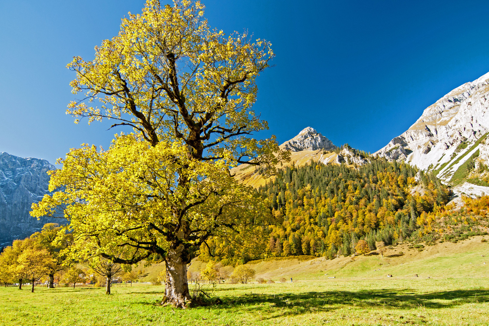 Herbstimpressionen vom Großen Ahornboden 