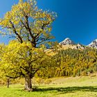 Herbstimpressionen vom Großen Ahornboden 