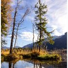 Herbstimpressionen vom Schwarzsee