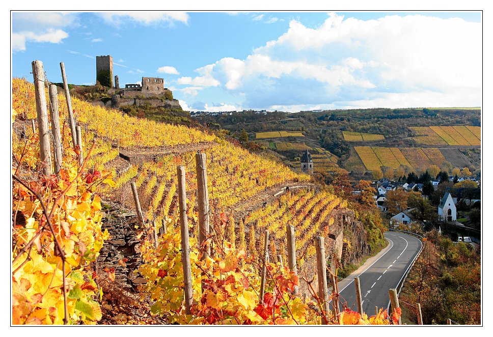 Herbstimpressionen von der Mosel