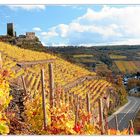 Herbstimpressionen von der Mosel