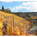 Herbstimpressionen von der Mosel