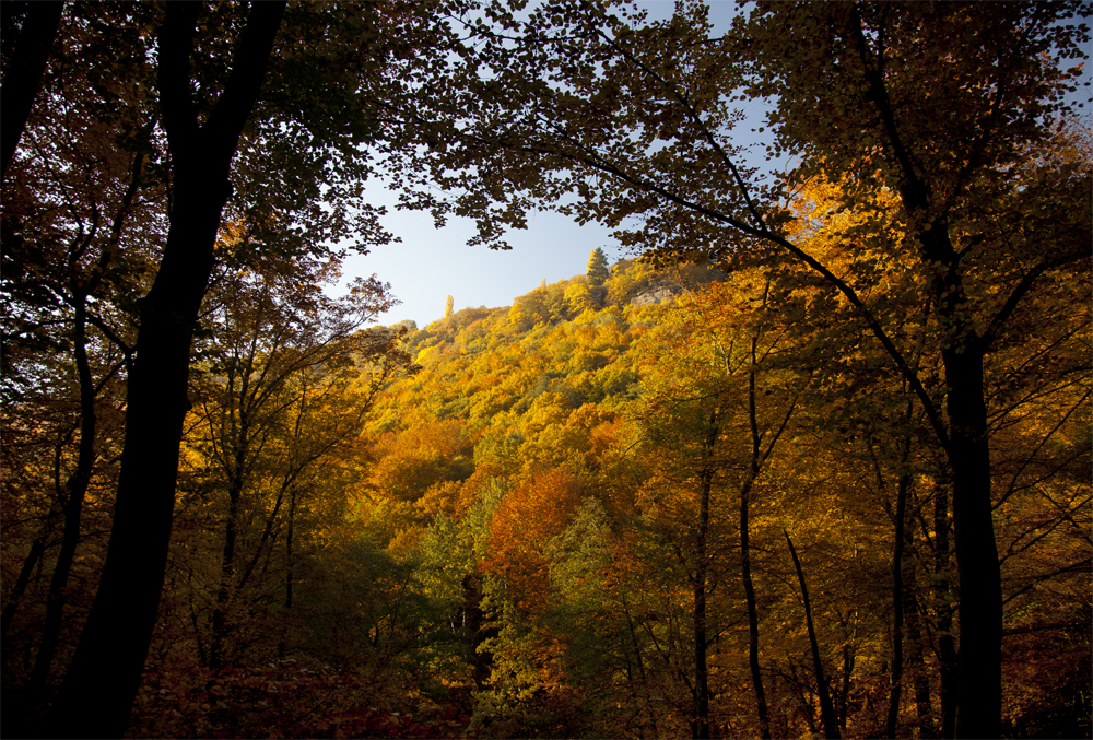 Herbstimpressionen_1