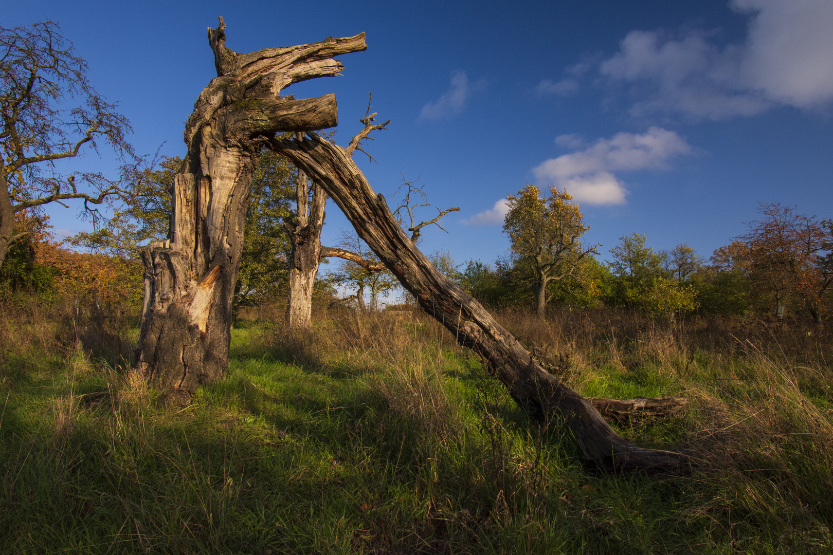 Herbstimpressionen_1