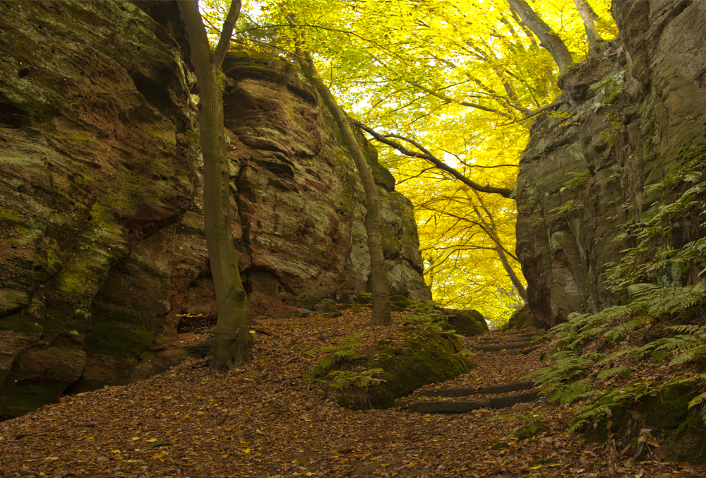 Herbstimpressionen_3