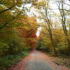 Herbstimpressionen_I