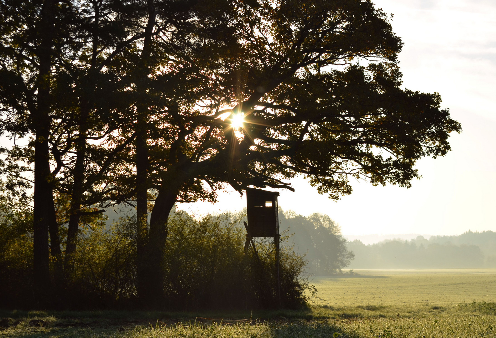 Herbstimpressionen,Jägerstand im morgendlichen Licht.