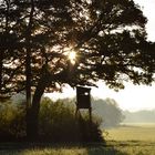 Herbstimpressionen,Jägerstand im morgendlichen Licht.