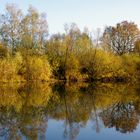 Herbstimpressionnen 3