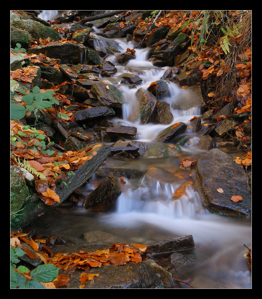 Herbst_im_Schwarzwassertal