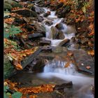 Herbst_im_Schwarzwassertal