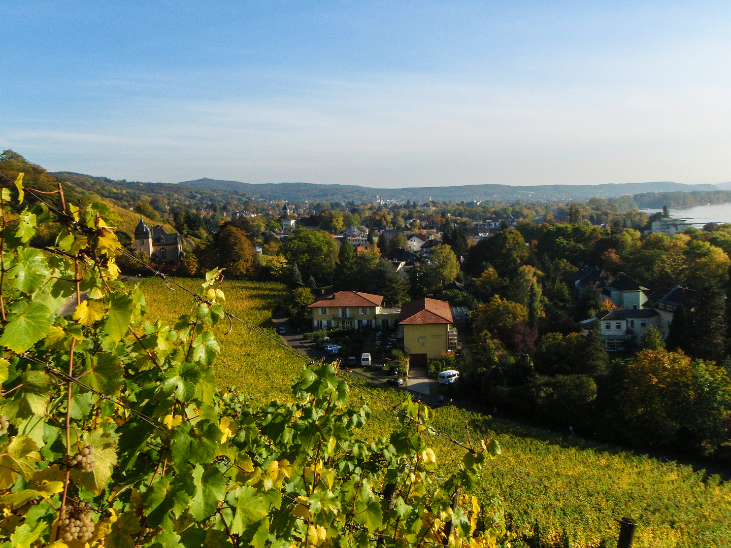 Herbst_im_Siebengebirge_4