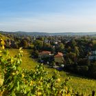 Herbst_im_Siebengebirge_4