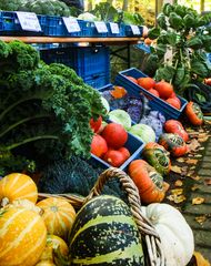 Herbst_im_Siebengebirge_5