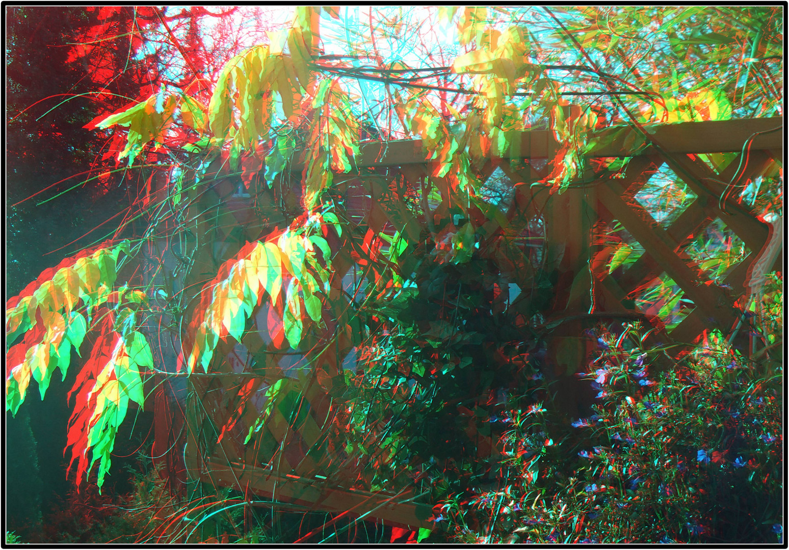 Herbst_in_3D