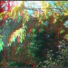 Herbst_in_3D