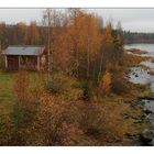 Herbst_in_Südlappland