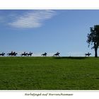 Herbstjagd auf Herrenchiemsee