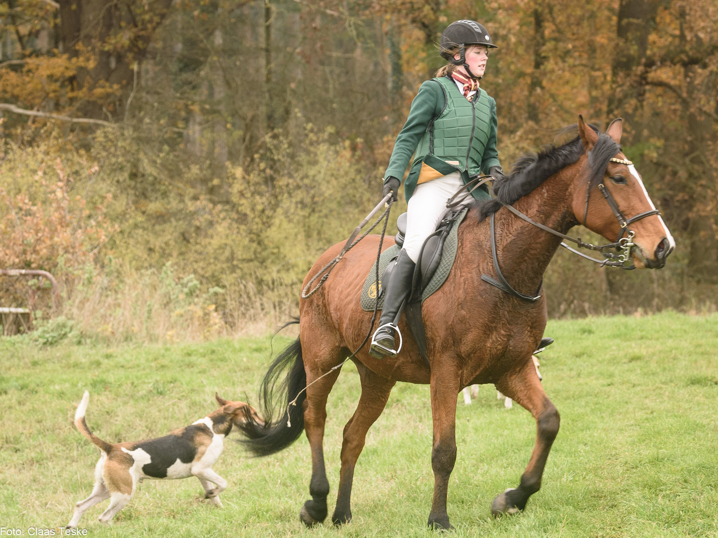 Herbstjagd Eitze 1