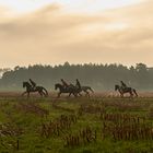 Herbstjagd Eitze 2