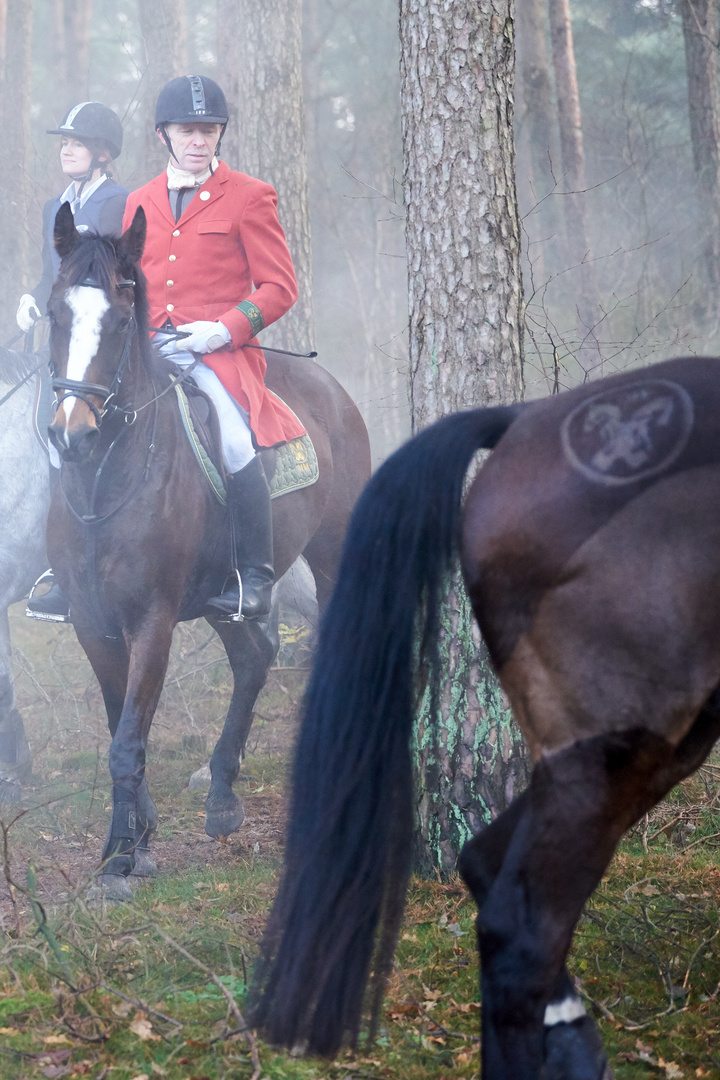 Herbstjagd Eitze 2017 3