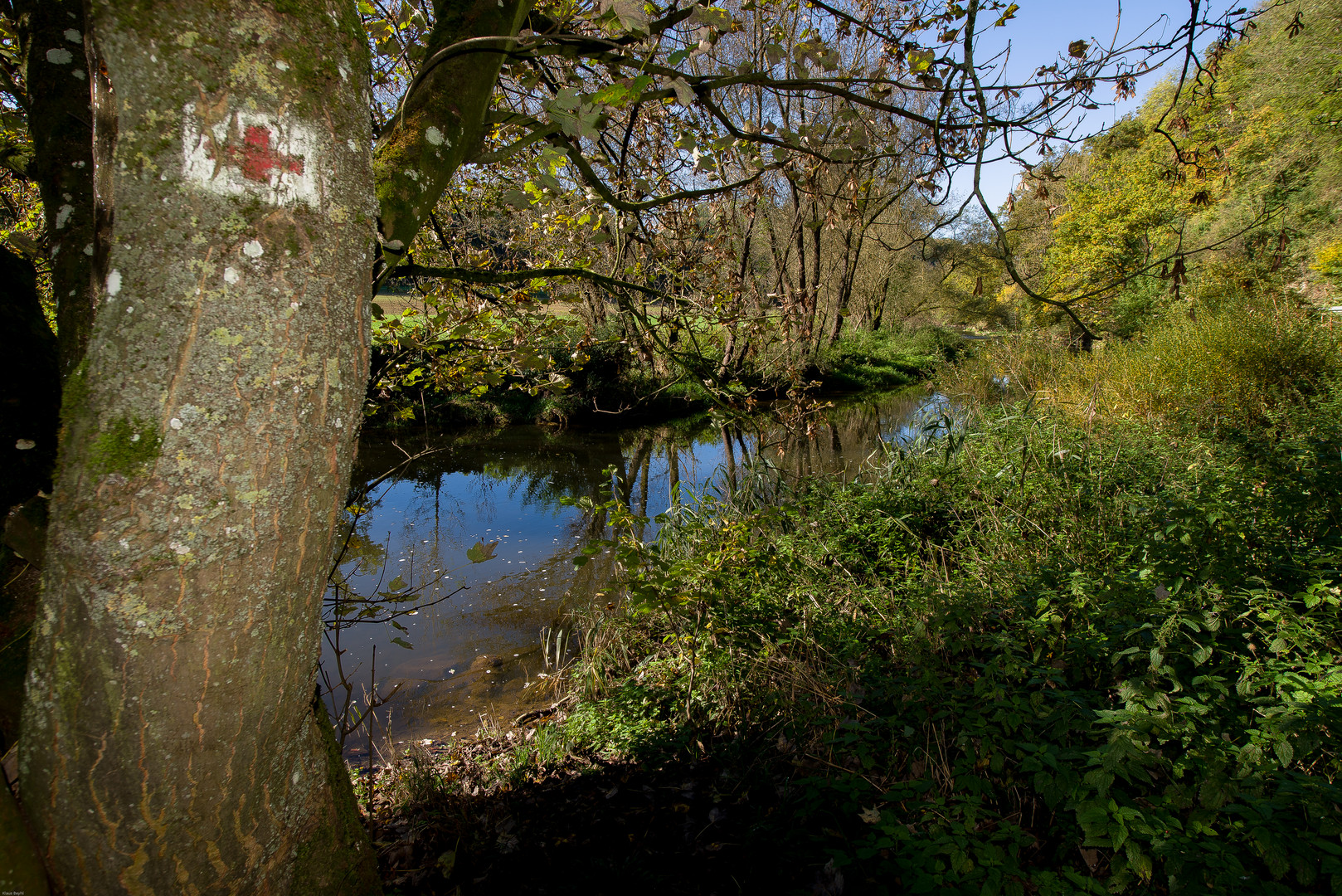 Herbstjagst