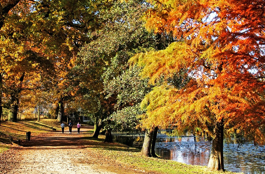 Herbstjogger....