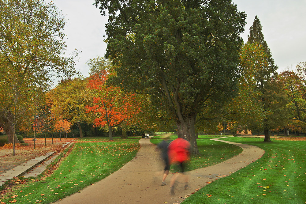 Herbstjogger