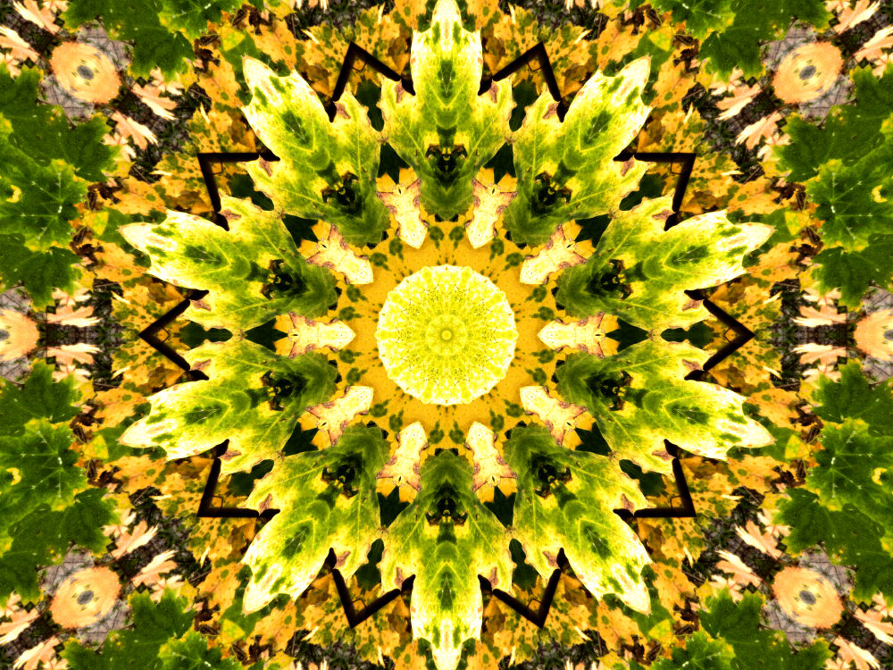 Herbstkaleidoskop