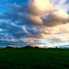 Herbstkapriolen und der Himmel zeigt sein faszinierendes Gesicht darüber 