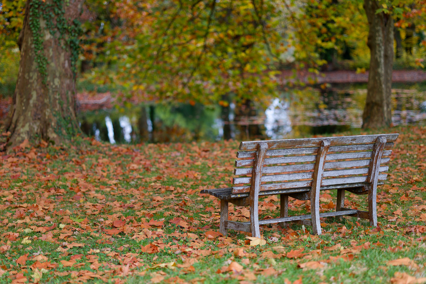 Herbstkino