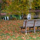 Herbstkino